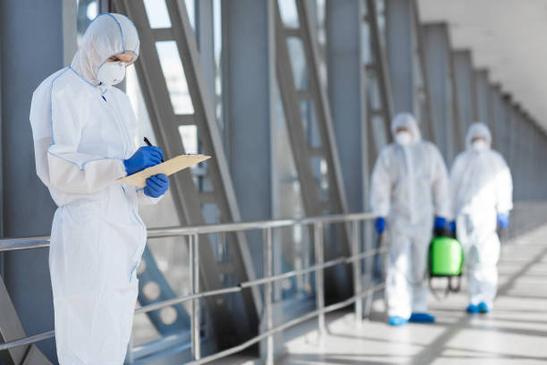 Biohazard Mold Removal in Diboll, TX