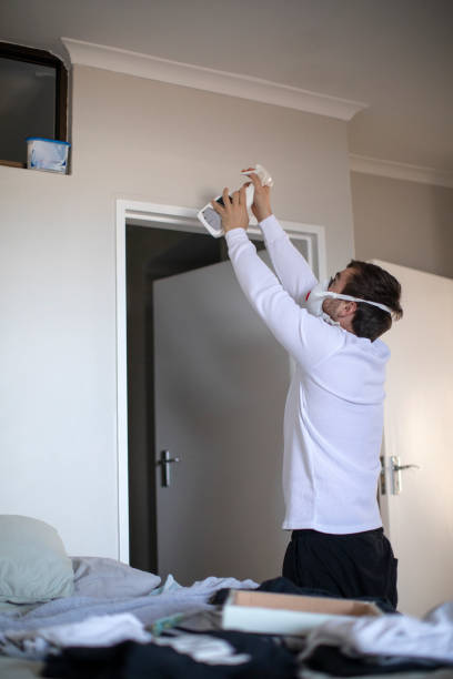 Best Mold Remediation for Healthcare Facilities  in Diboll, TX