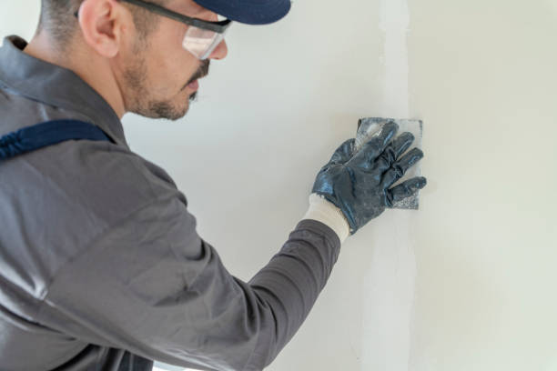 Professional Mold Removal in Diboll, TX