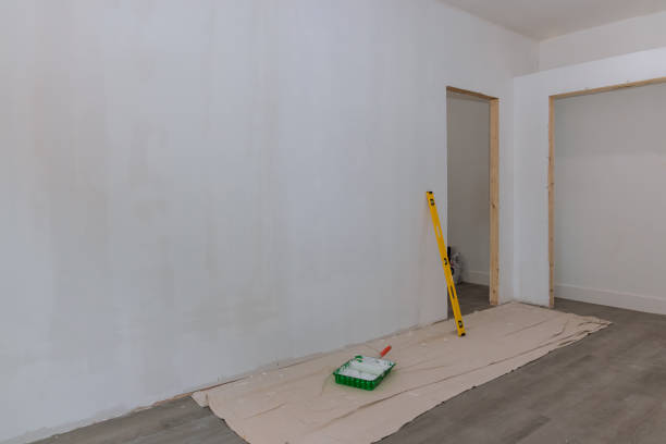 Best Mold Removal for HVAC Installations  in Diboll, TX