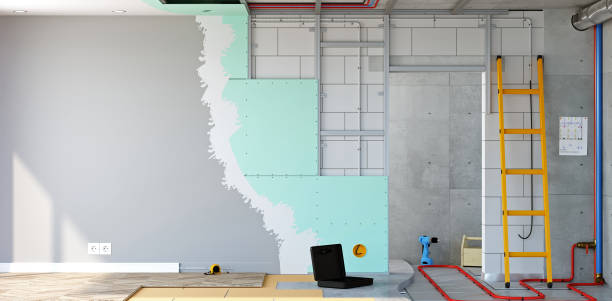 Best Emergency Mold Remediation  in Diboll, TX
